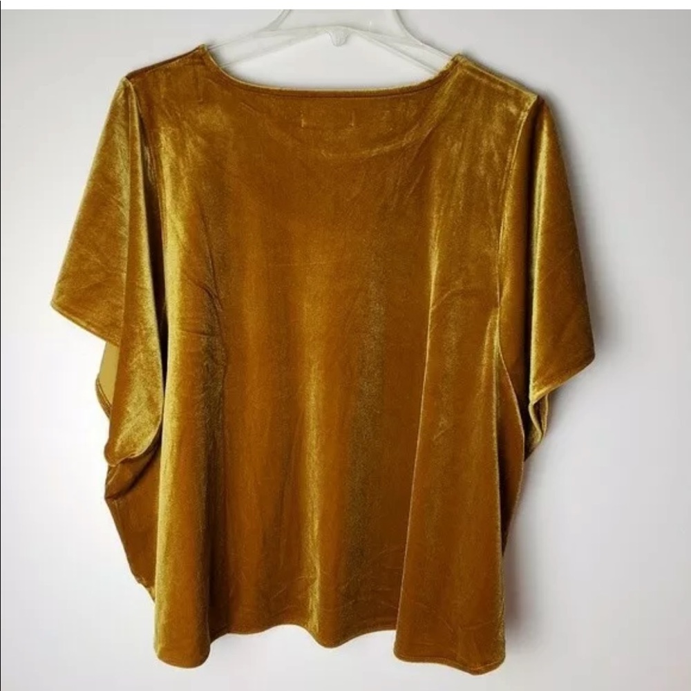 Madewell Golden Brown Velvet Blouse